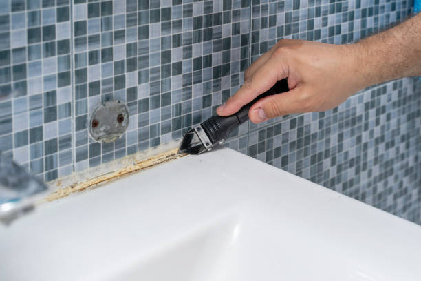 White House Station, NJ Mold Remediation Company
